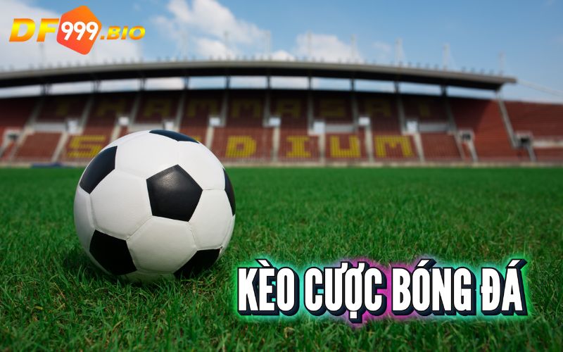 Nắm rõ tất cả các kèo cược trong bóng đá