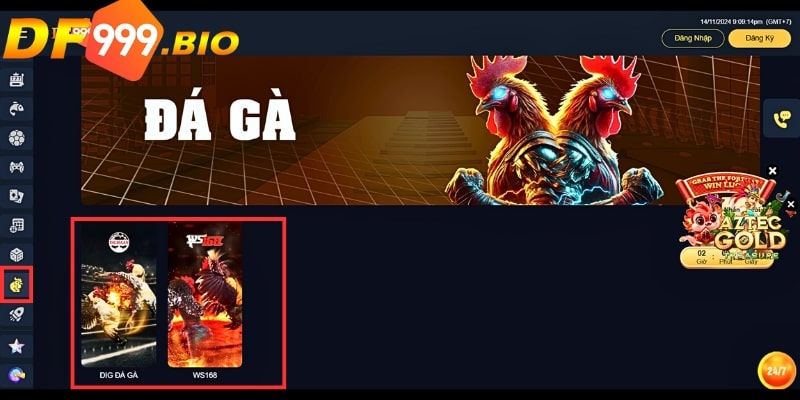 Người chơi có cơ hội trải nghiệm đấu trường đá gà thomo chuyên nghiệp
